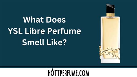 ysl libre męskie|ysl libre smells like.